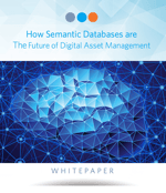 How Semantic Databases Are The Future Of Digital Asset Management - Ebook Cover